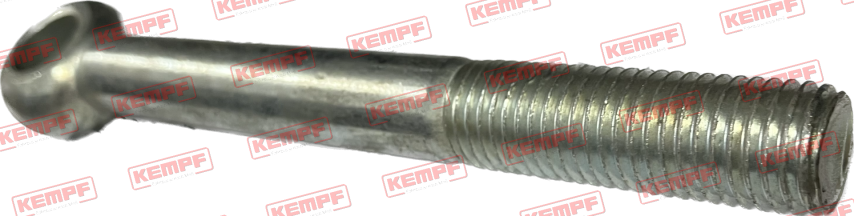 24434 Augenschraube M16x150